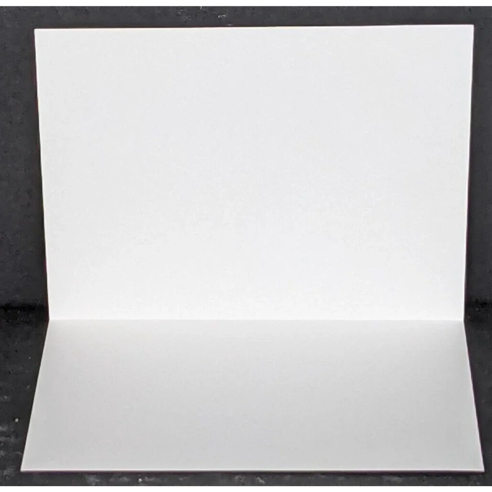 Wild Bird Notecards Blank LOT OF 13 Some Duplicates 4.25 x 5.5